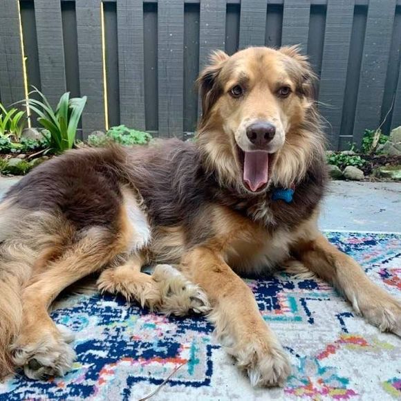 Meet your Posher, Margaret - Picture 1 of 1